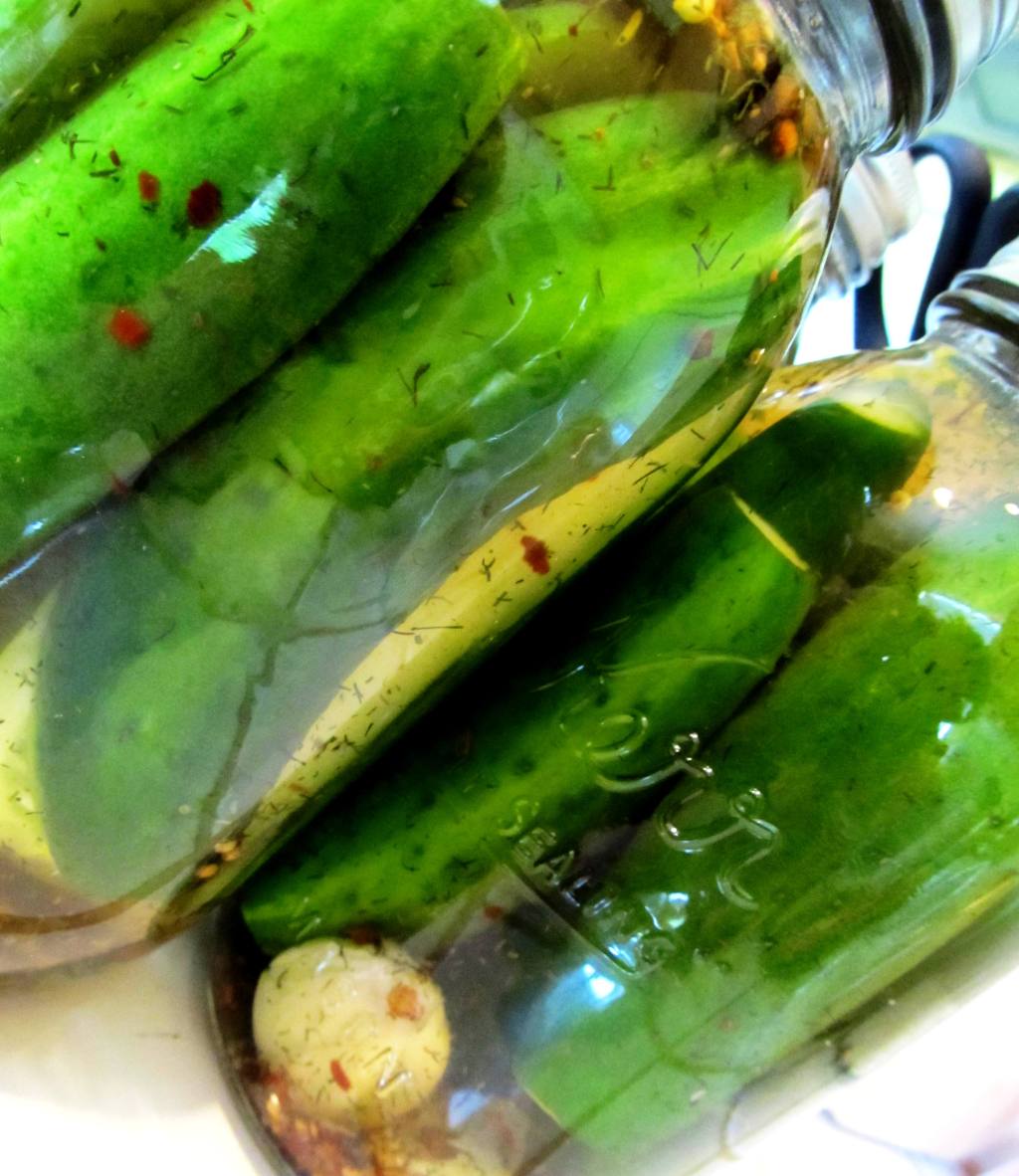 spicy garlic dill pickles