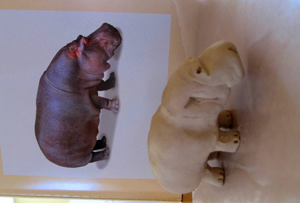 Daily Rants - Digging for Worms