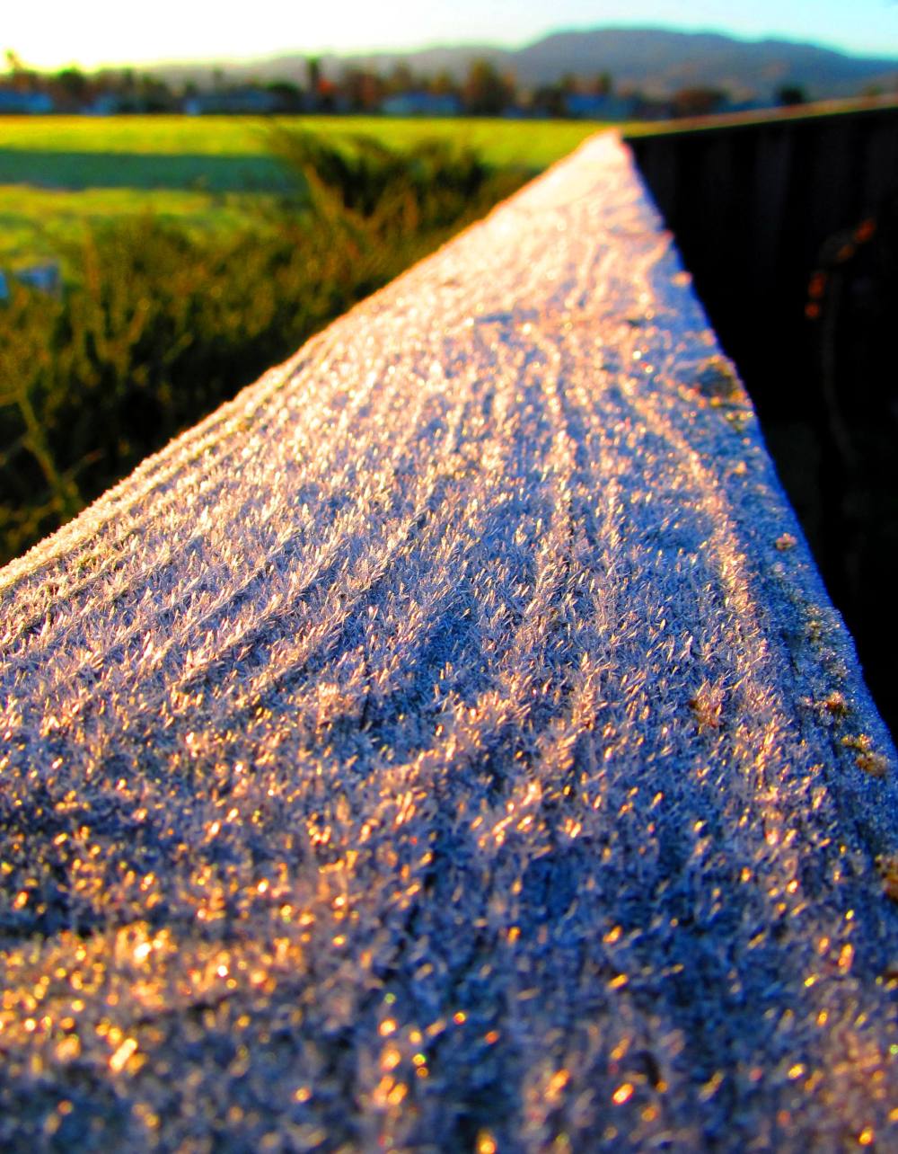 Daily Rants - Digging for Worms