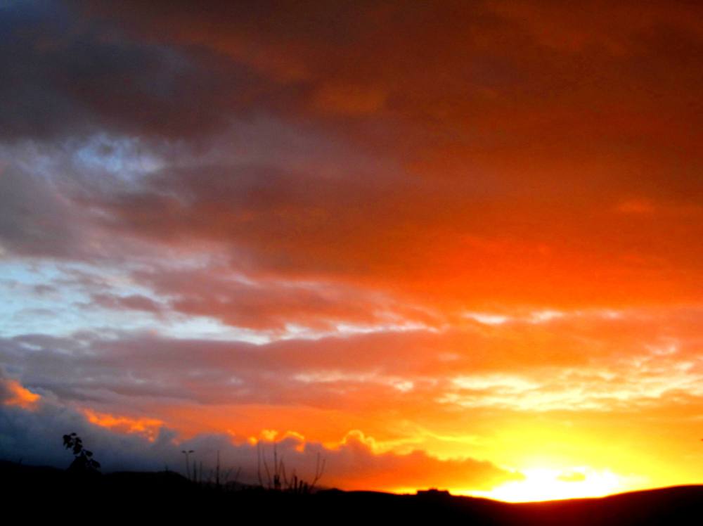 Daily Rants - Digging for Worms