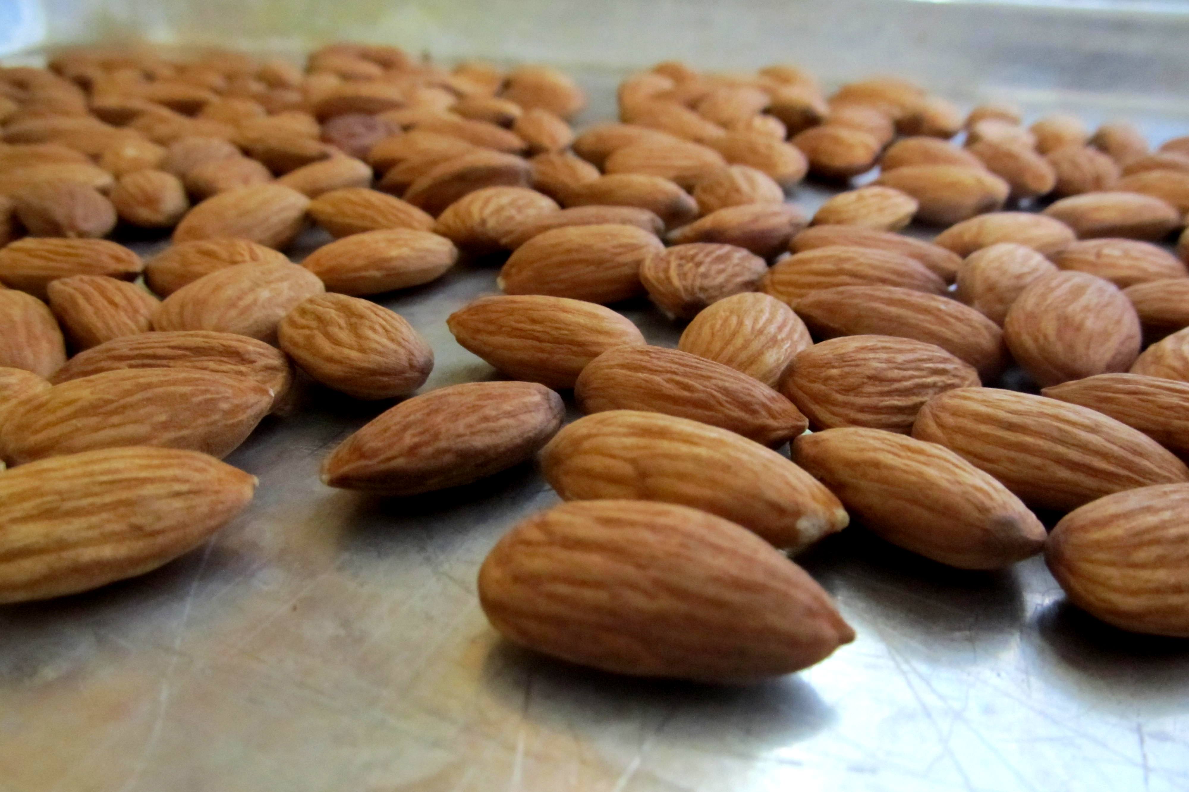 homemade almond basil pesto