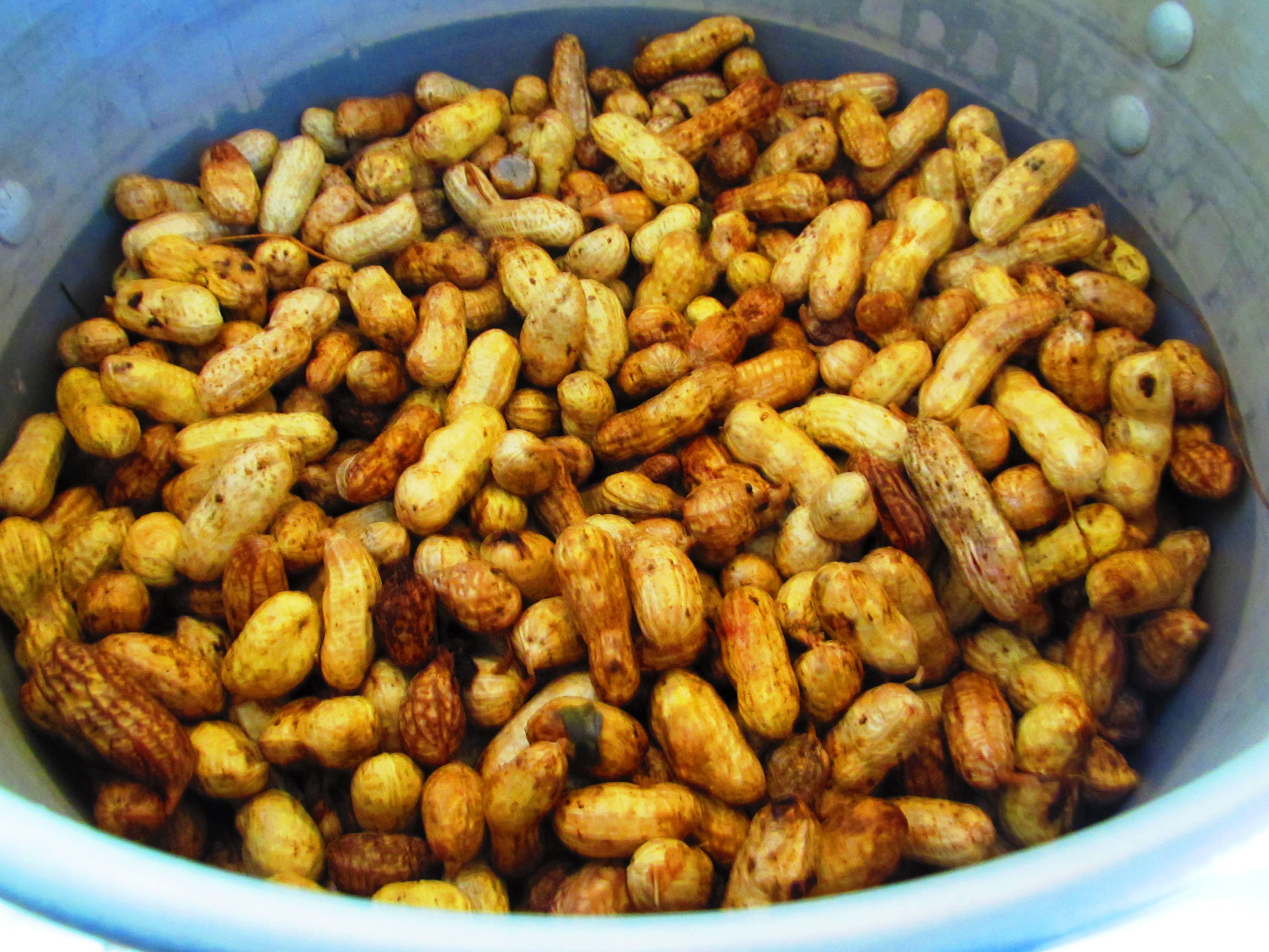 homemade peanut butter