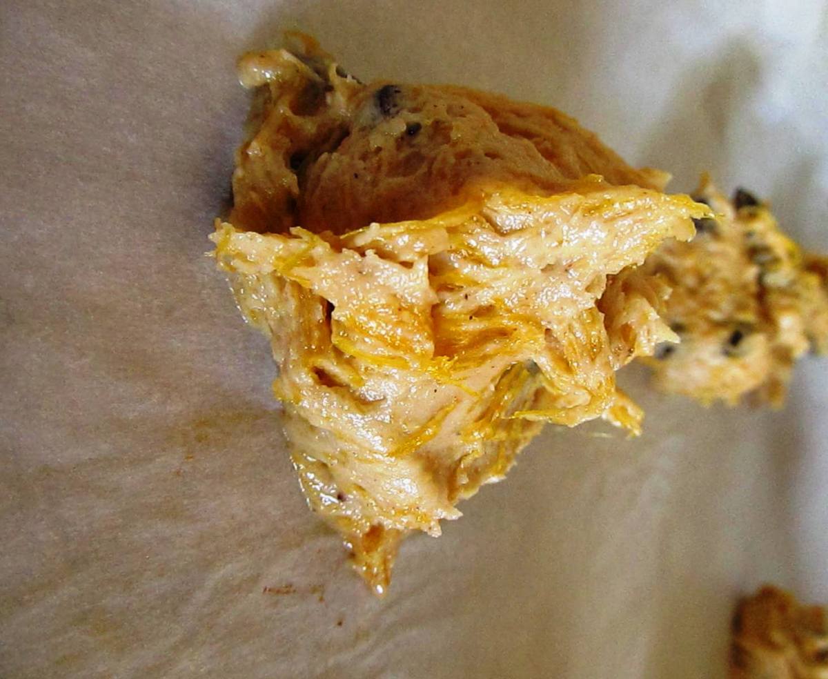 pumpkin chocolate chip cookies