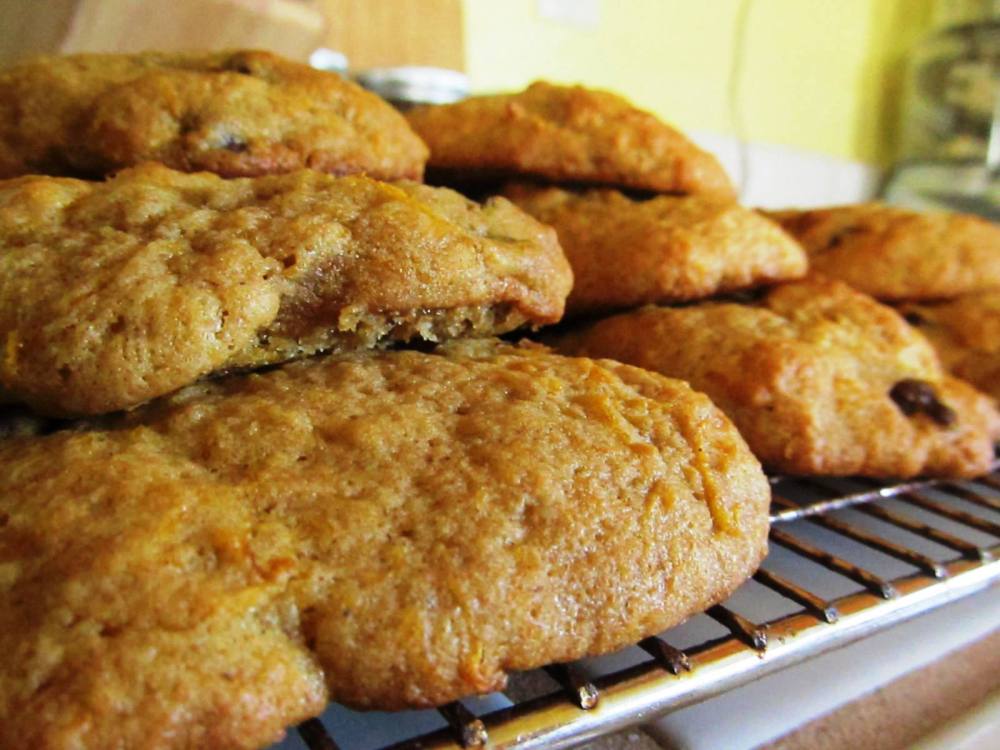http://allrecipes.com/recipe/pumpkin-chocolate-chip-cookies-i/detail.aspx