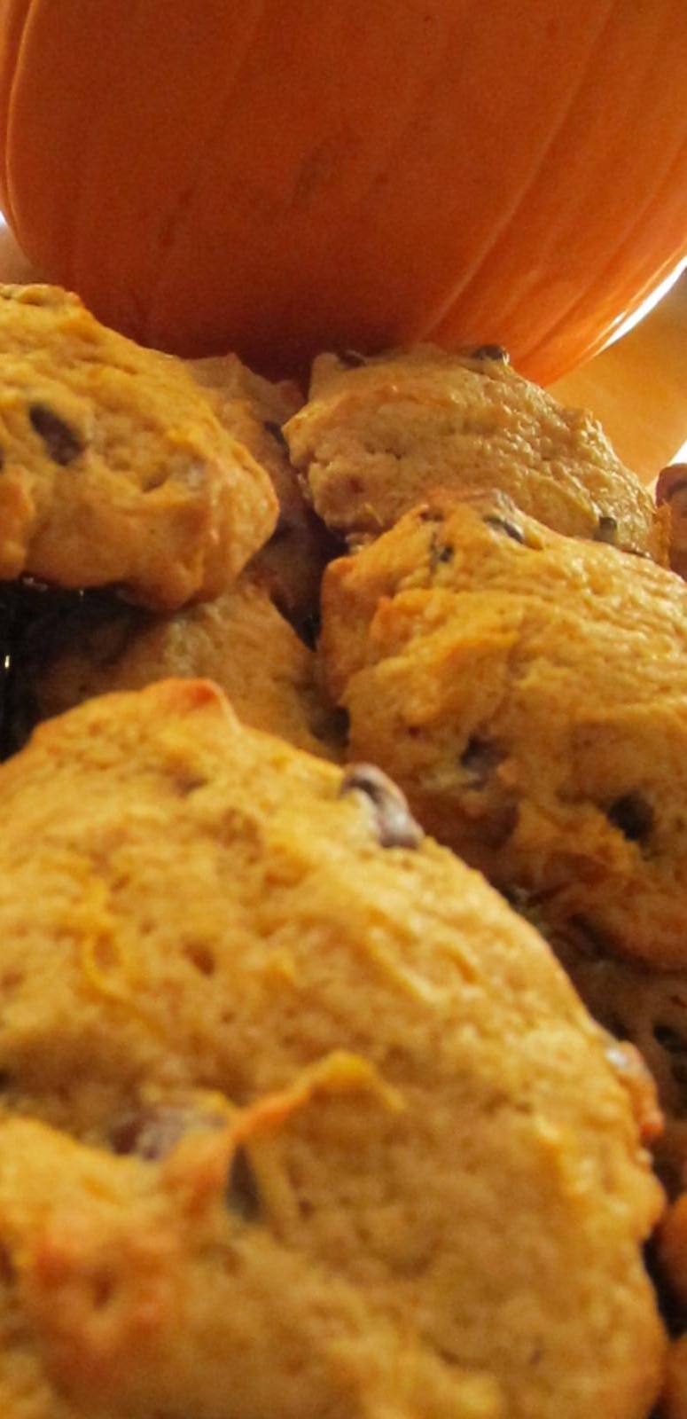 http://allrecipes.com/recipe/pumpkin-chocolate-chip-cookies-i/detail.aspx
