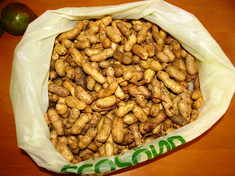 homemade peanut butter