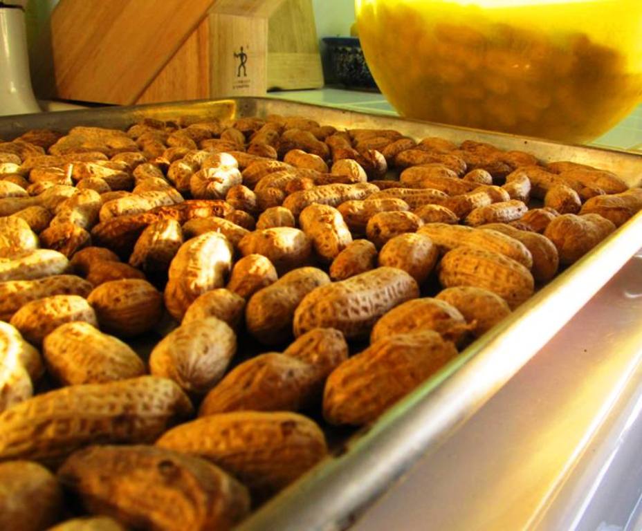 homemade peanut butter