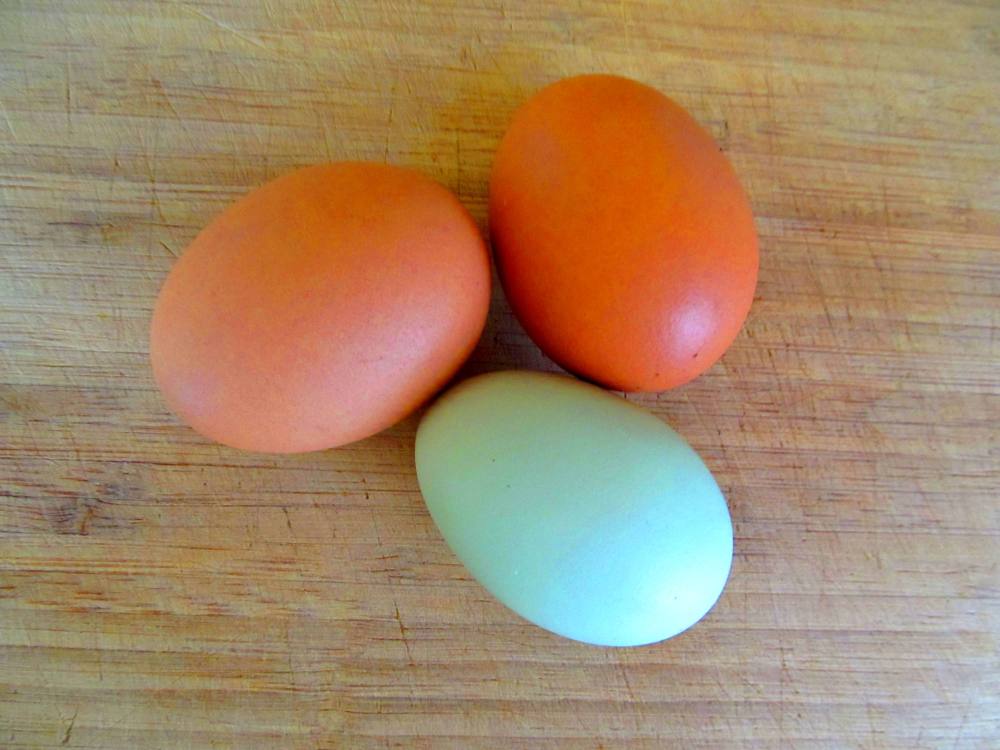 homemade chocolate chip banana bread