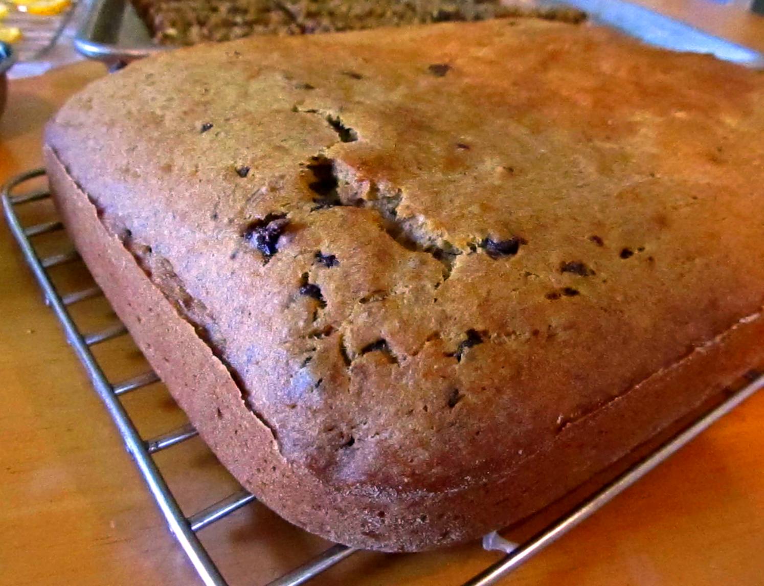 homemade chocolate chip banana bread