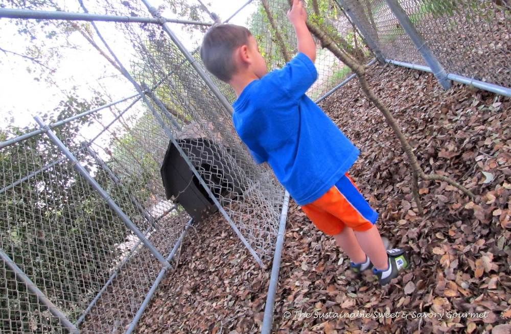 365 Project 2014 - Day 3