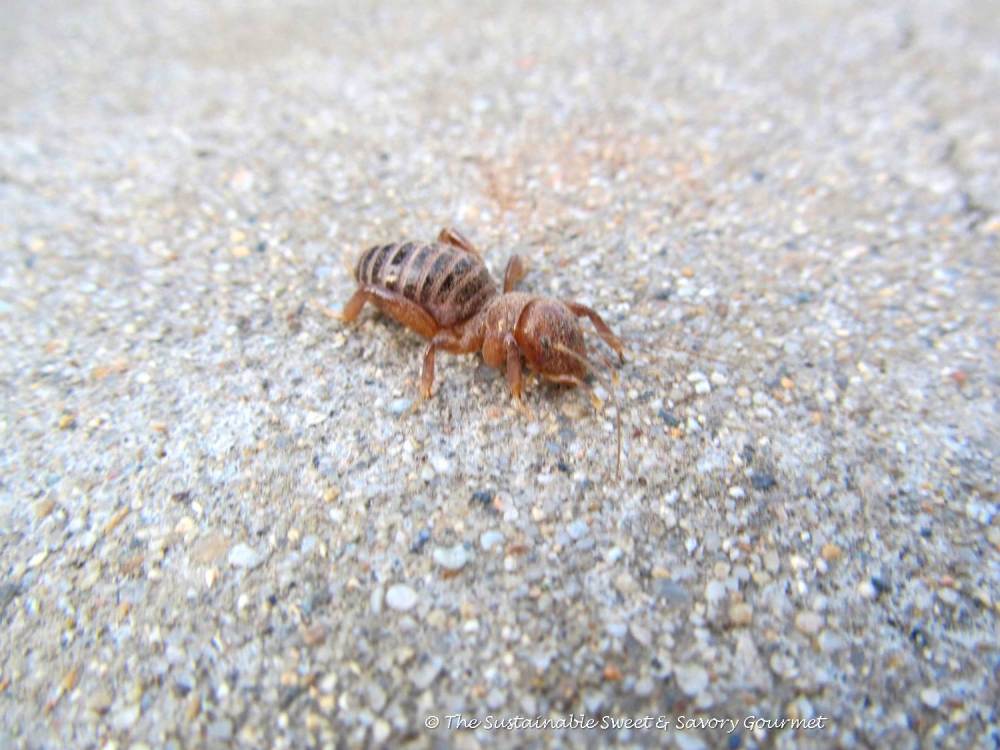 365 Project 2014 - Day 3