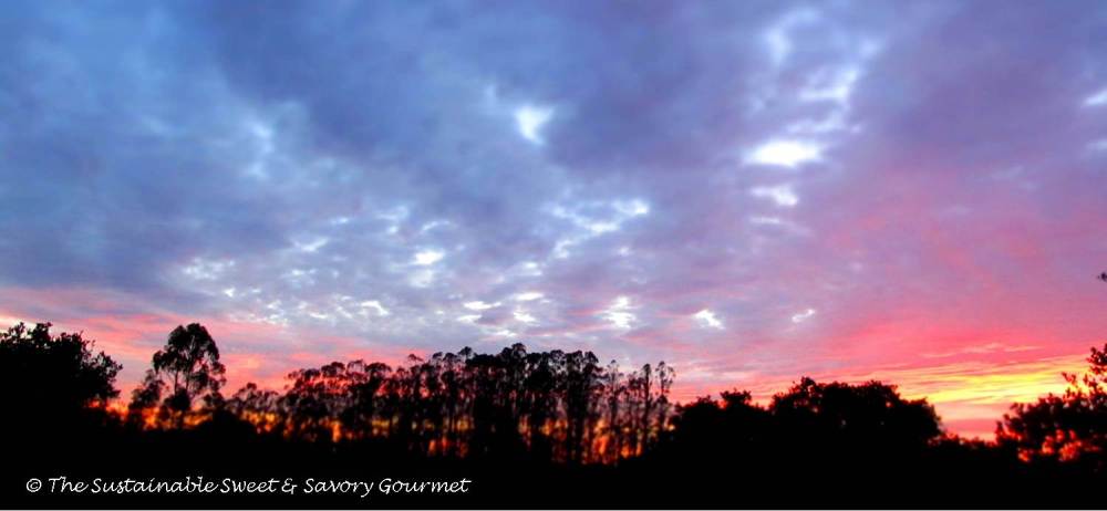 365 Project 2014 - Day 6