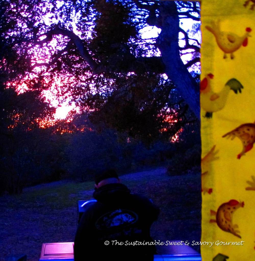 365 Project 2014 Day 9, 10, 11, & 12