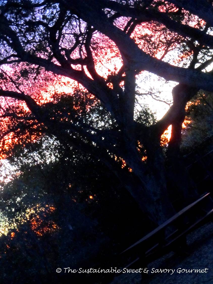 365 Project 2014 Day 9, 10, 11, & 12