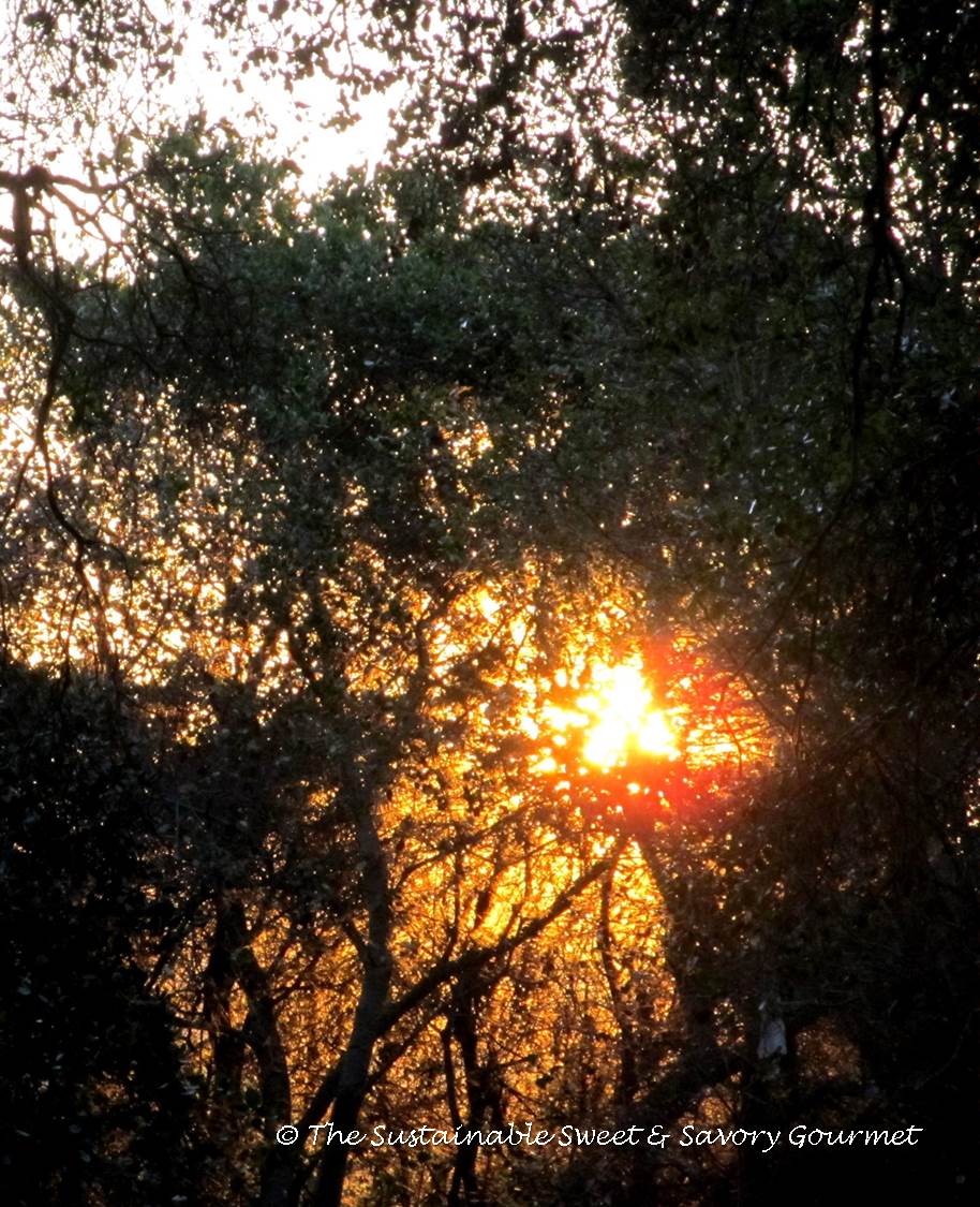 365 Project 2014 Extra Long Week In Review 18 - 27