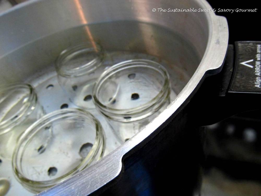 365 Project 2014 Extra Long Week In Review 18 - 27