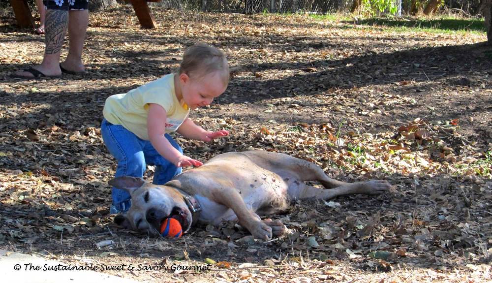 365 Project 2014 Extra Long Week In Review 18 - 27