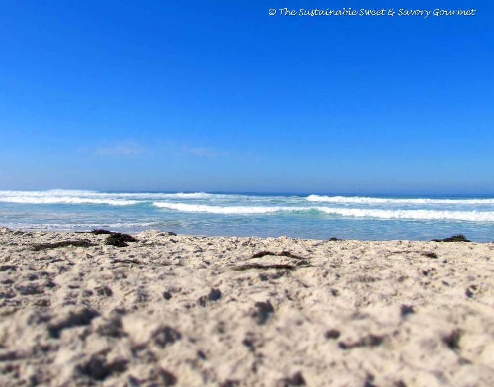 365 Project 2014 Extra Long Week In Review 18 - 27