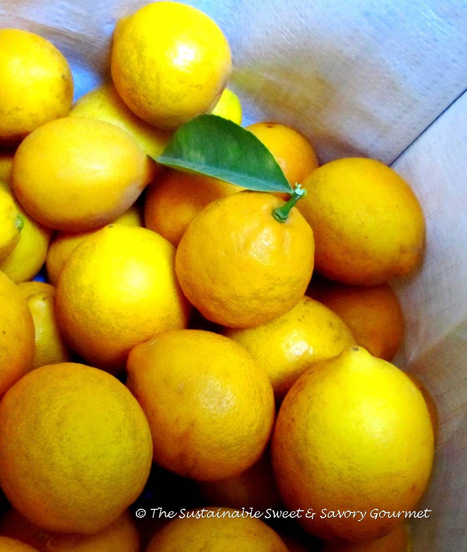 365 Project 2014 Extra Long Week In Review 18 - 27