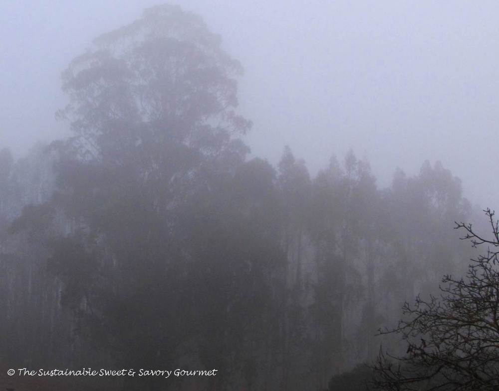 365 Project 2014 Extra Long Week In Review 18 - 27