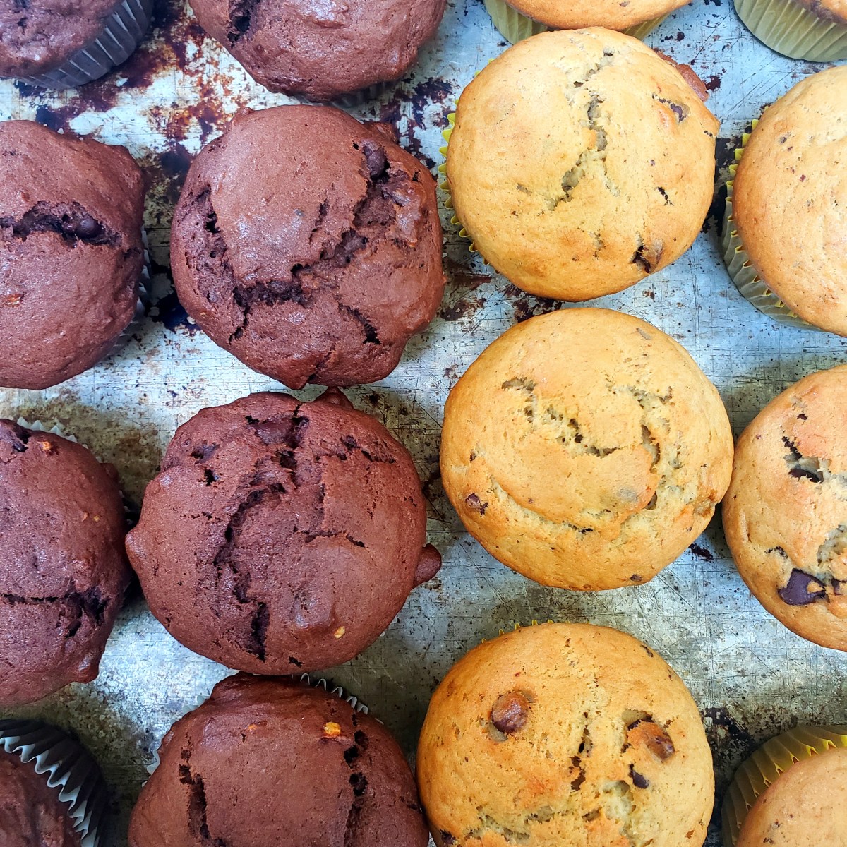 Banana Bread Muffins