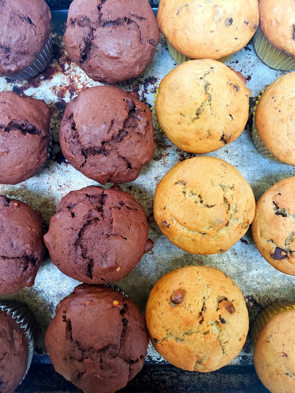 Banana Bread Muffins